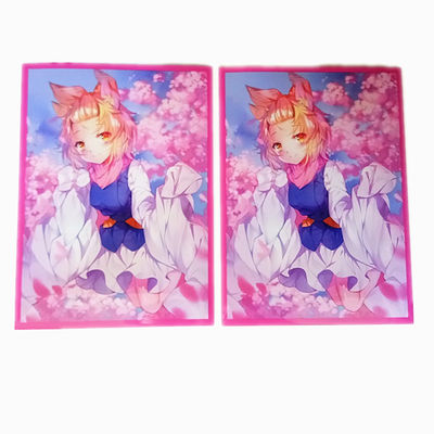 - Des protecteurs de cartes en plastique.