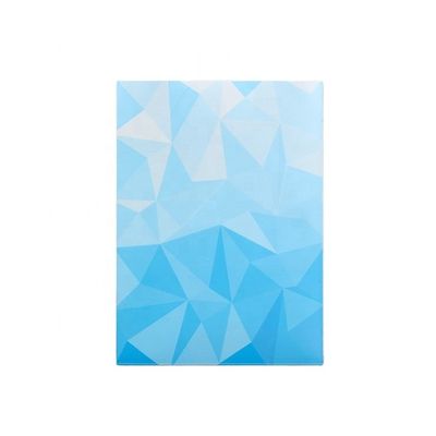 Impression graphique Manches de cartes personnalisées 66x91 66x92 Pour une protection sans acide sans PVC